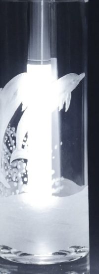 FL232b_web FL232b_web